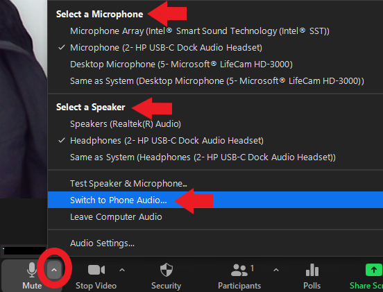 Zoom_Meeting_Audio_Options.png