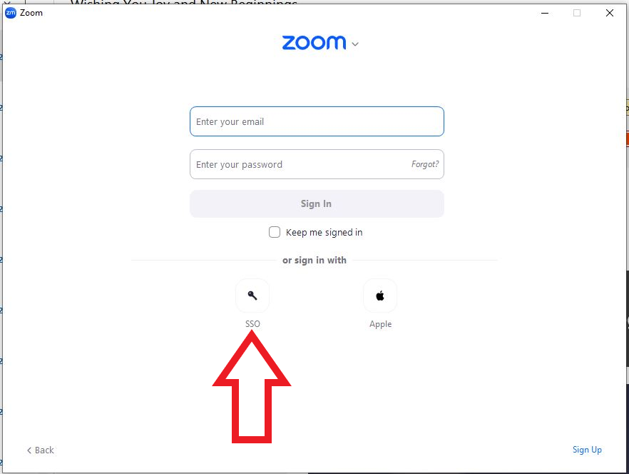 Zoom SSO.png