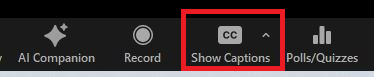Show Captions.png
