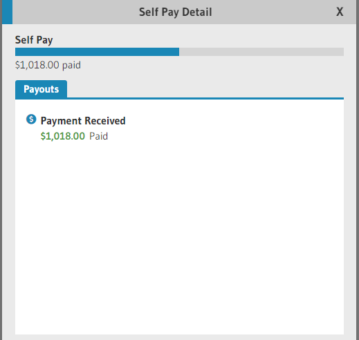 Self Pay.png