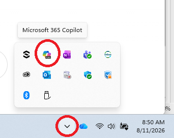 Copilot Client.png